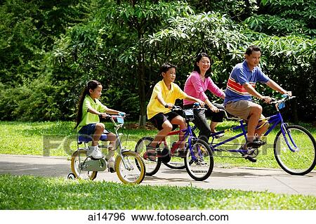 Family in park, cycling View Large Photo Image Stock Photograph - Family in park, cycling. Fotosearch