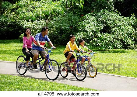 Stock Photography - Family in park, cycling. Fotosearch