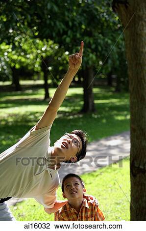 Father and son in park, father pointing up View Large Photo Image Stock Image - Father and son in park, father pointing up. Fotosearch