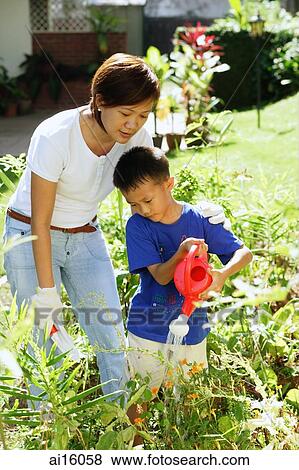 Mother and son watering plants in garden View Large Photo Image Stock Photo - Mother and son watering plants in garden. Fotosearch