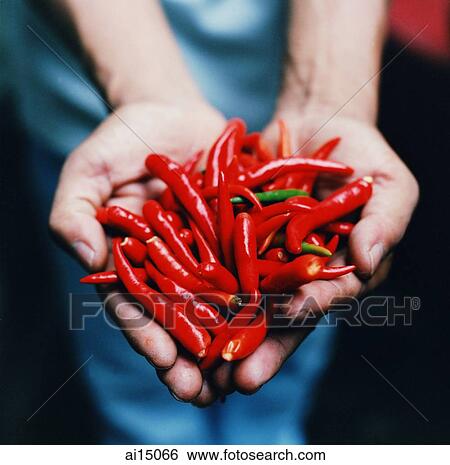 Red chillies for sale at market View Large Photo Image Stock Photograph - Red chillies for sale at market. Fotosearch