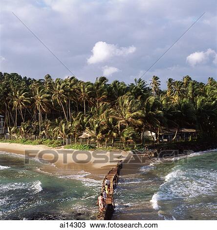 Sri Lanka, Mirissa, beach, tourists crossing wooden bridge View Large Photo Image Stock Image - Sri Lanka, Mirissa, beach, tourists crossing wooden bridge. Fotosearch