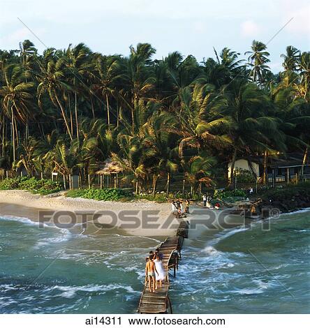 Sri Lanka, Mirissa, beach, tourists crossing wooden bridge View Large Photo Image Stock Image - Sri Lanka, Mirissa, beach, tourists crossing wooden bridge. Fotosearch