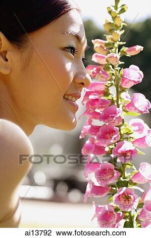 Woman in profile, flowers next to her View Large Photo Image Stock Image - Woman in profile, flowers next to her. Fotosearch