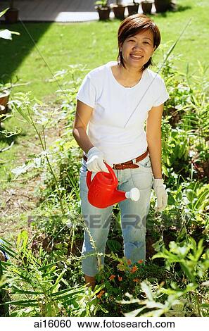 Woman standing in garden, watering plants View Large Photo Image Stock Image - Woman standing in garden, watering plants. Fotosearch