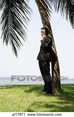 Businessman standing underneath tree, using mobile phone View Large Photo Image Stock Image - Businessman standing underneath tree, using mobile phone . Fotosearch