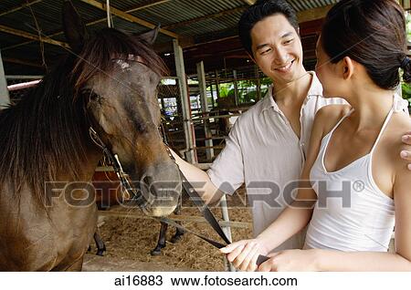 Couple in stable, standing with horse View Large Photo Image Stock Image - Couple in stable, standing with horse . Fotosearch