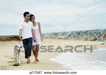 Couple walking on beach with Dalmatian View Large Photo Image Stock Photo - Couple walking on beach with Dalmatian . Fotosearch