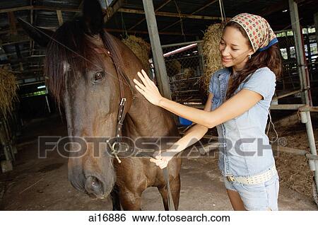 Stock Bilder - frau, petting, pferd, in, stall ai16886 Stock Bilder - frau, petting, pferd, in, stall ai16886