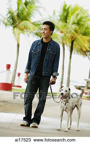 Man walking his dog View Large Photo Image Stock Image - Man walking his dog . Fotosearch