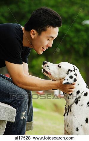 Man with his Dalmatian dog, side view View Large Photo Image Stock Photo - Man with his Dalmatian dog, side view . Fotosearch
