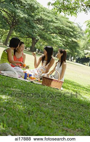 Young women having a picnic View Large Photo Image Stock Photo - Young women having a picnic. Fotosearch