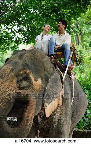 Picture - Couple riding elephant, low angle view, Phuket, Thailand . Fotosearch