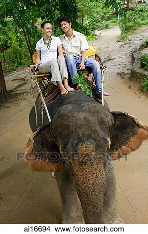 Couple riding elephant, smiling at camera, Phuket, Thailand View Large Photo Image Picture - Couple riding elephant, smiling at camera, Phuket, Thailand . Fotosearch