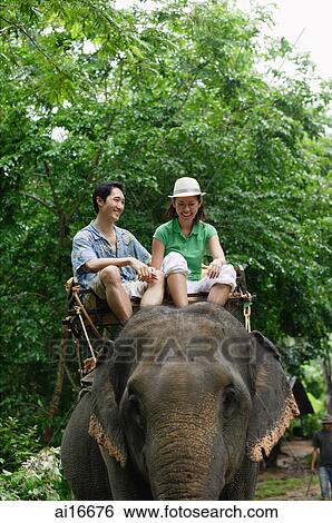 Couple riding on elephant, Phuket, Thailand View Large Photo Image Stock Photograph - Couple riding on elephant, Phuket, Thailand . Fotosearch