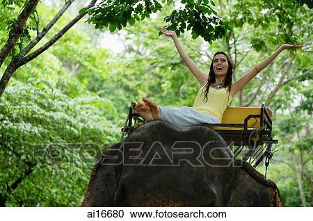 Female tourist riding elephant, arms outstretched, Phuket, Thailand View Large Photo Image Stock Image - Female tourist riding elephant, arms outstretched, Phuket, Thailand . Fotosearch