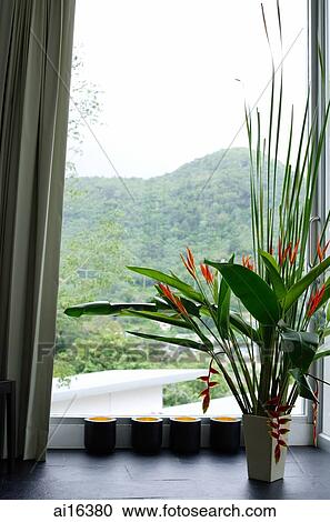 Stock Image - Flower arrangement next to window . Fotosearch