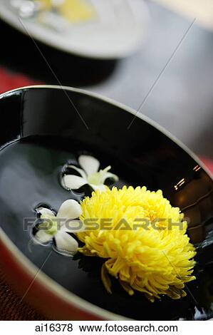 Stock Photo - Flowers floating in bowl. Fotosearch