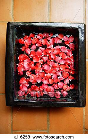Stock Photo - Rose petals in a bowl, high angle view . Fotosearch