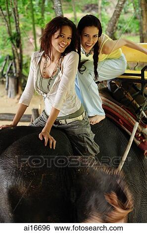 Two young women riding on elephant, Phuket, Thailand View Large Photo Image Stock Photograph - Two young women riding on elephant, Phuket, Thailand . Fotosearch