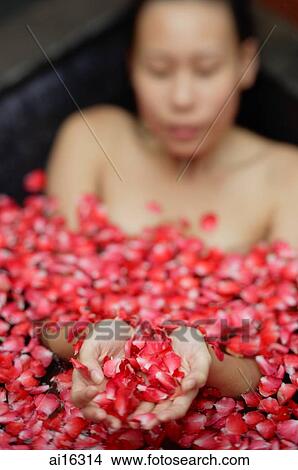 Picture - Woman in tub holding flower petals in cupped hands, selective focus . Fotosearch