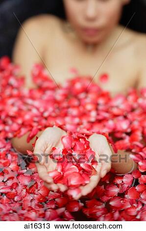 Woman in tub holding flower petals in cupped hands View Large Photo Image Stock Image - Woman in tub holding flower petals in cupped hands. Fotosearch