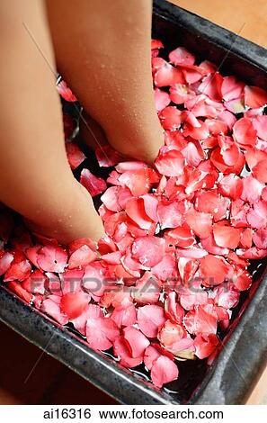 Stock Photograph - Woman with feet in bowl of water filled with flower petals, low section . Fotosearch