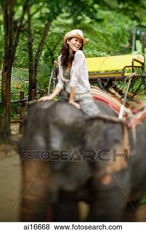 Young woman on elephant, smiling at camera, Phuket, Thailand View Large Photo Image Stock Photo - Young woman on elephant, smiling at camera, Phuket, Thailand . Fotosearch