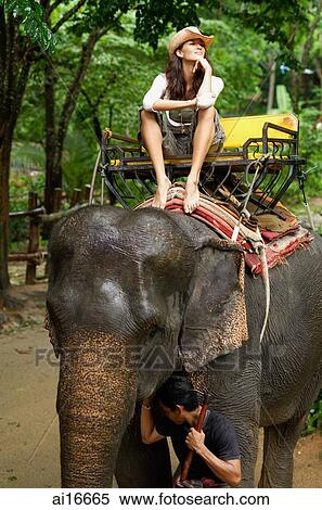 Young woman riding elephant, hand on chin, Phuket, Thailand View Large Photo Image Stock Photography - Young woman riding elephant, hand on chin, Phuket, Thailand . Fotosearch