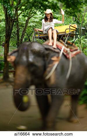 Picture - Young woman riding elephant, waving, Phuket, Thailand . Fotosearch