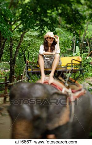 Young woman sitting on elephant, looking at camera, touching hat, Phuket, Thailand View Large Photo Image Stock Photo - Young woman sitting on elephant, looking at camera, touching hat, Phuket, Thailand . Fotosearch