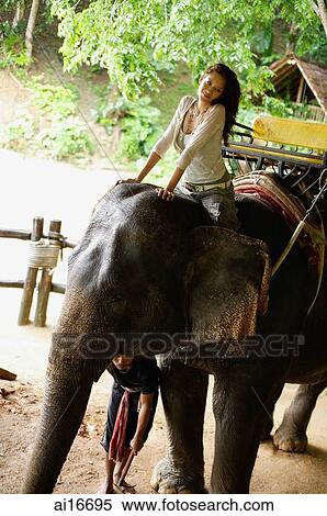 Young woman sitting on elephant, looking at camera, Phuket, Thailand View Large Photo Image Stock Photography - Young woman sitting on elephant, looking at camera, Phuket, Thailand . Fotosearch