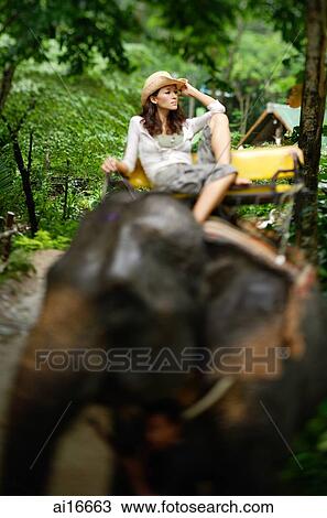 Stock Image - Young woman sitting on top of elephant, Phuket, Thailand . Fotosearch