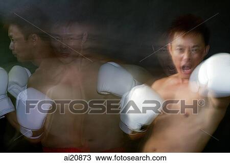 Male boxer with boxing gloves, double exposure View Large Photo Image Stock Image - Male boxer with boxing gloves, double exposure. Fotosearch