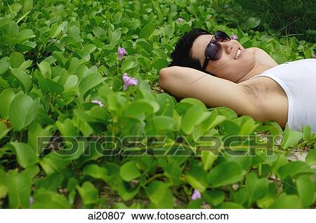 Man lying amongst plants, smiling, looking up View Large Photo Image Stock Photo - Man lying amongst plants, smiling, looking up. Fotosearch