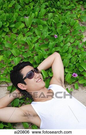 Man with sunglasses, hands behind head, lying amongst plants View Large Photo Image Stock Photograph - Man with sunglasses, hands behind head, lying amongst plants. Fotosearch