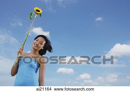 Woman holding sunflower stalk View Large Photo Image Picture - Woman holding sunflower stalk. Fotosearch