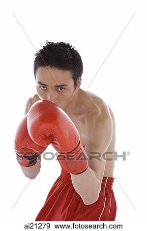 Young male boxer facing camera View Large Photo Image Stock Photo - Young male boxer facing camera. Fotosearch