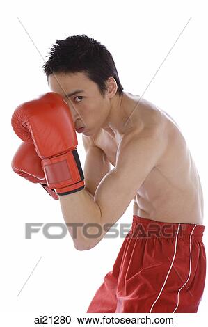Young male boxer looking at camera View Large Photo Image Stock Image - Young male boxer looking at camera. Fotosearch