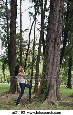 Young woman outdoors, taking a photograph of a tree View Large Photo Image Stock Image - Young woman outdoors, taking a photograph of a tree. Fotosearch
