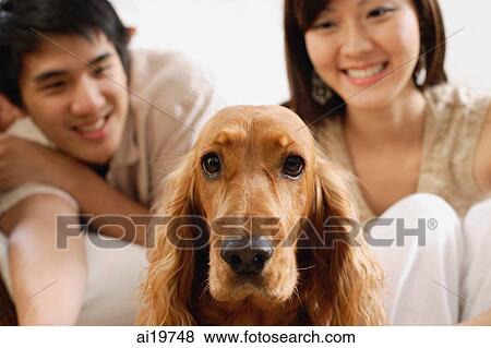 Cocker Spaniel dog looking at camera, people in the background View Large Photo Image Stock Photo - Cocker Spaniel dog looking at camera, people in the background. Fotosearch