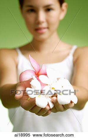 Young woman holding flowers in cupped hands View Large Photo Image Stock Photography - Young woman holding flowers in cupped hands. Fotosearch