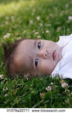 Baby lying in grass View Large Photo Image Stock Image - Baby lying in grass. Fotosearch