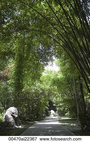 Stock Photo - Bamboo lane, Thatched cottage of Du Fu, Chengdu, China. Fotosearch