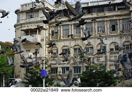 Stock Photo - Building in Mumbai, India, birds flying in foreground. Fotosearch