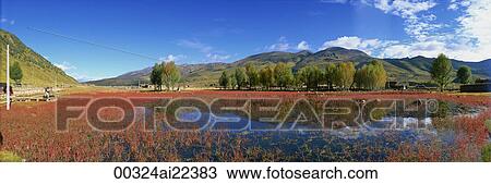 Daocheng, Sichuan, China View Large Photo Image Stock Image - Daocheng, Sichuan, China. Fotosearch