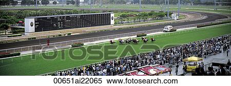 Horse racing, Shatin, Hong Kong View Large Photo Image Stock Photography - Horse racing, Shatin, Hong Kong. Fotosearch