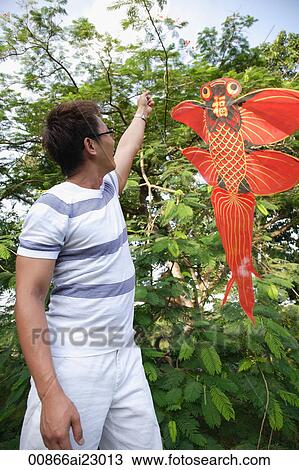 Man flying goldfish kite View Large Photo Image Stock Image - Man flying goldfish kite. Fotosearch