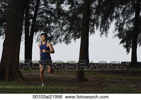 Man running through park View Large Photo Image Stock Photograph - Man running through park. Fotosearch
