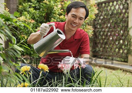 Man watering plants in the garden View Large Photo Image Stock Image - Man watering plants in the garden. Fotosearch
